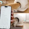 BJBO01 Smart Cat Litter Box with Camera