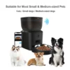 BJFE01 Wifi Pet Feeder with Camera