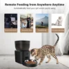 BJFE01 Wifi Pet Feeder with Camera