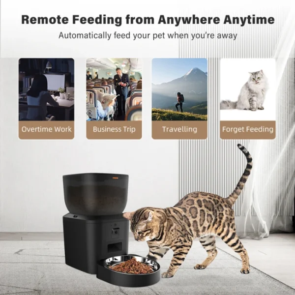 BJFE01 Wifi Pet Feeder with Camera