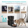 BJFE03 WiFi Pet Feeder with Button