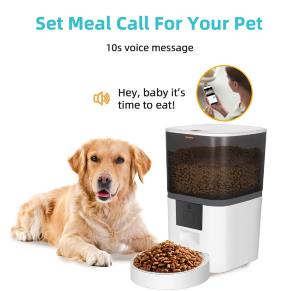 BJFE03 WiFi Pet Feeder with Button