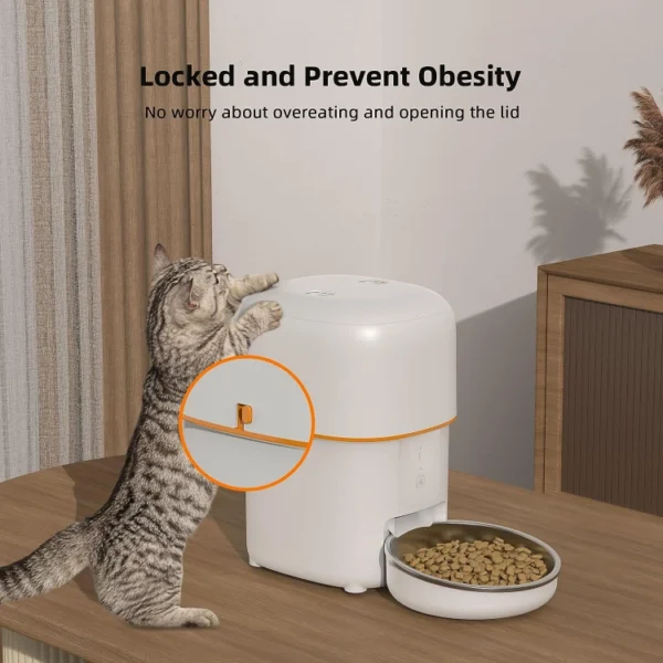 BJFE04 WiFi Pet Feeder with Button