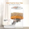 BJFE05 Automatic Pet Feeder with LCD Display