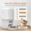 BJFE05 Automatic Pet Feeder with LCD Display