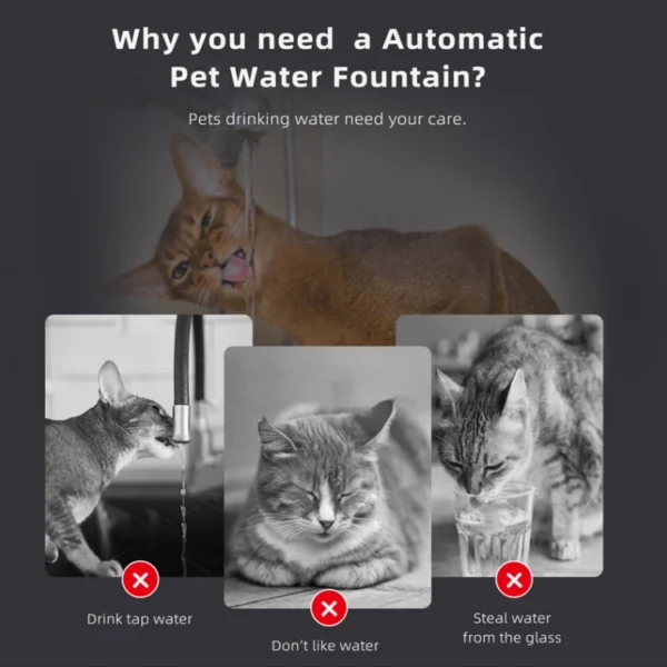 BJFO01 Pet Water Fountain Auto-Filtering